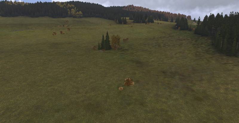 ft_init3.jpg ft_init3.jpg