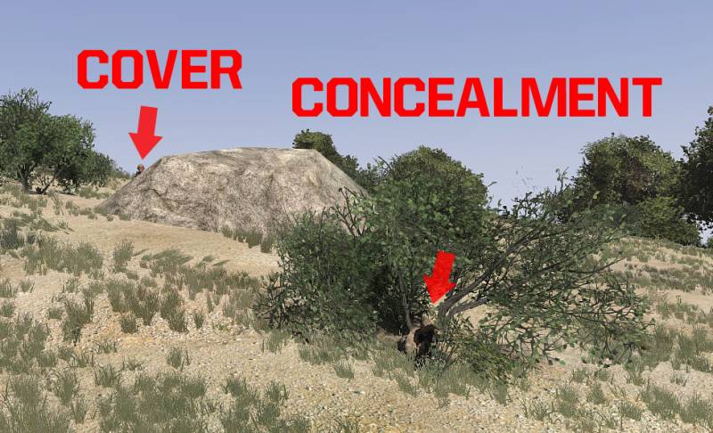 cover_concealment.jpg cover_concealment.jpg