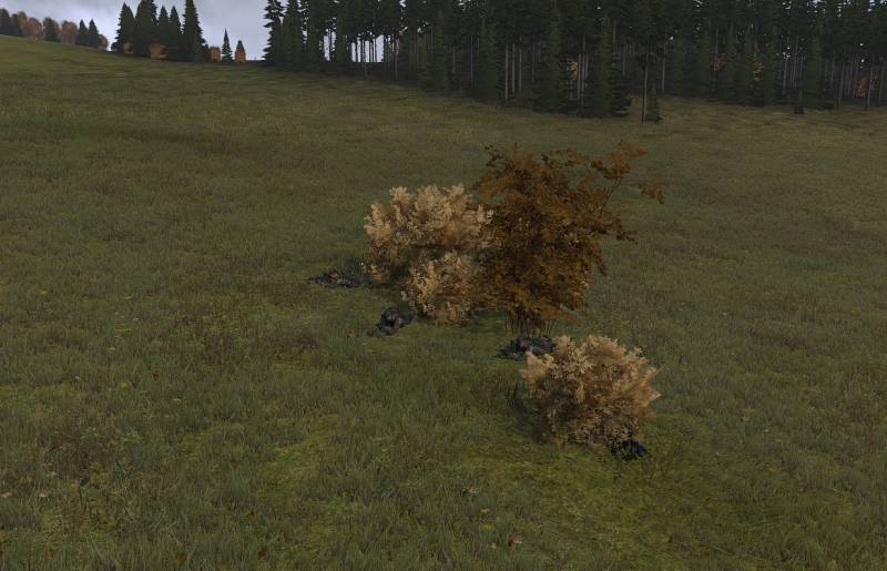 init_ft1.jpg init_ft1.jpg