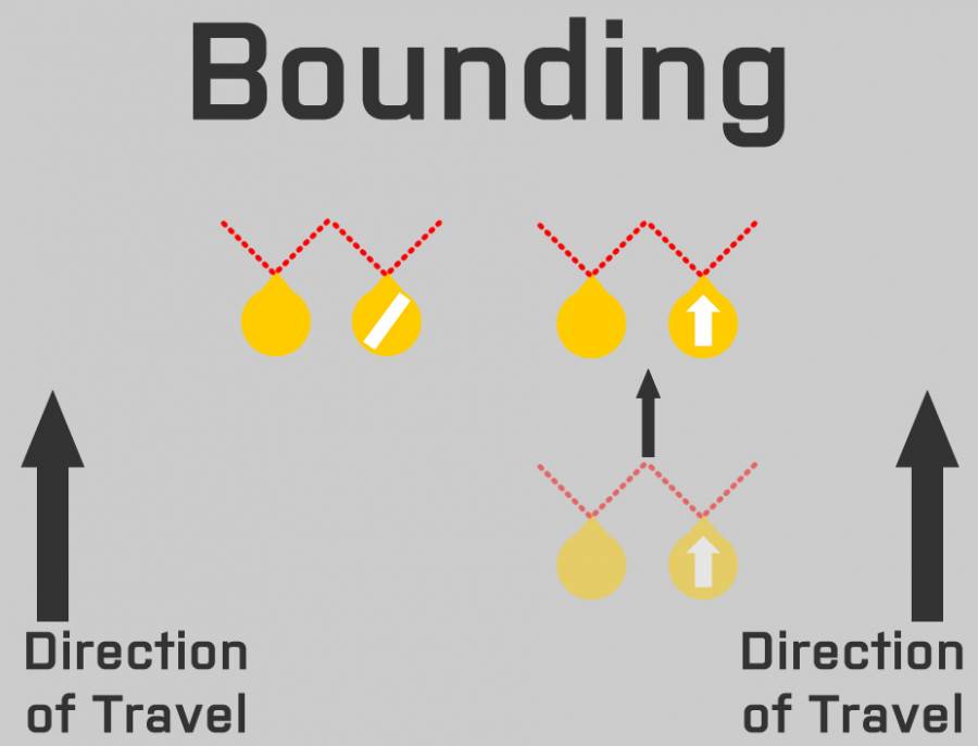 bound_4.jpg