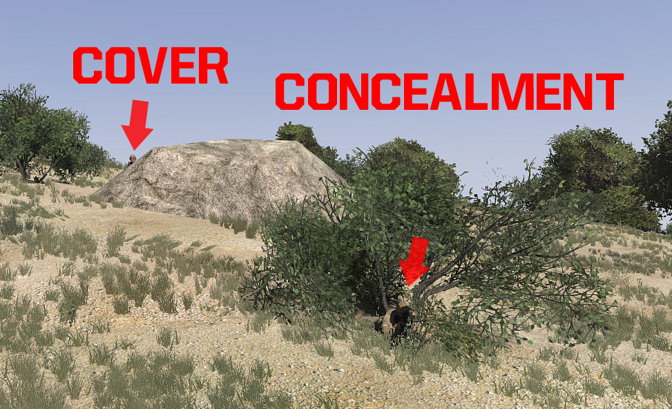 cover_concealment.jpg