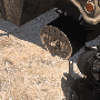 changetyre03.gif
