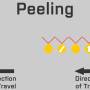 peel_1.jpg