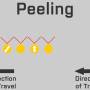 peel_7.jpg